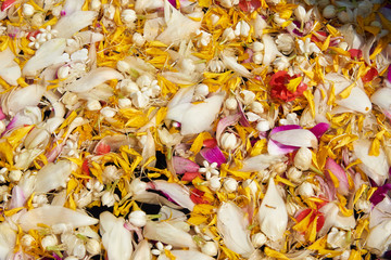 flowers in a bowl for bathing Buddha