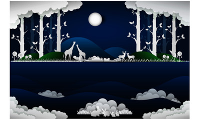 Night view of wild life