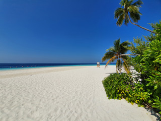 Sea Beach in Maldives, With coconut trees And sky background.