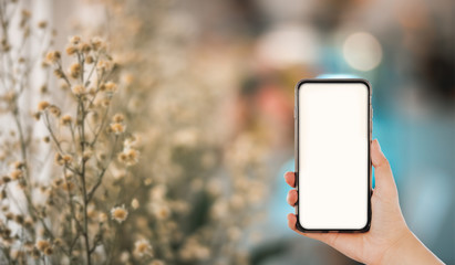 Hand holding smartphone blank screen with blur dry flower and bokeh background