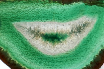 Green agate stone macro. Green agate arc slice texture.Natural stone bright Green background.  wallpaper