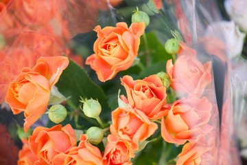bouquet of roses