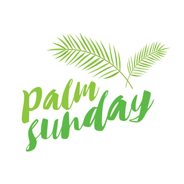 palm sunday title with palms