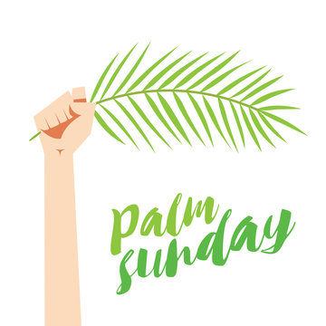 a raising hand holding a palm leaf