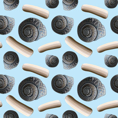 Seashells seamless pattern, vector illustration. Marine background.