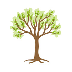 Green tree with roots. Vector illustration isolated on a white background