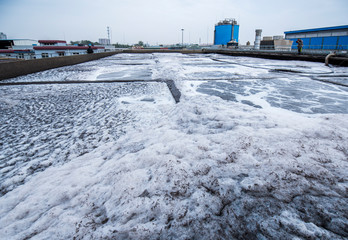 Wastewater treatment tank of paper mill