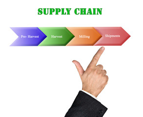 Supply Chain in Agriculture