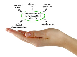 Determinants of Population Health
