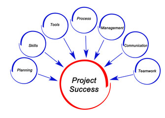 Drivers of Project Success