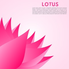 pink purple lotus flower beauty poster Design template	