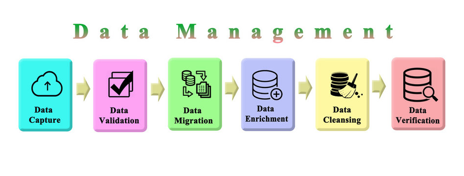 Process of Data Management.
