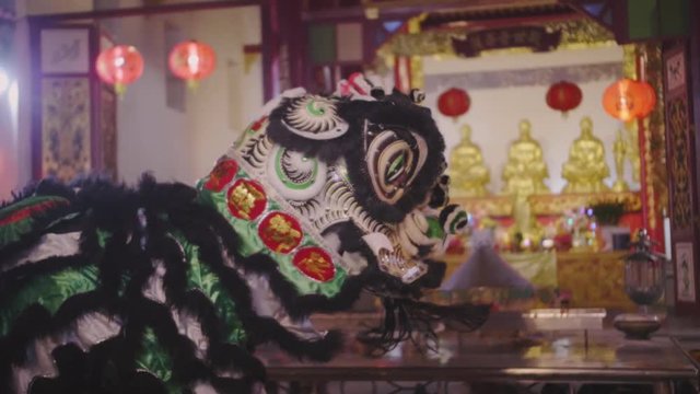 Traditional Chinese lion dance in Chinatown in Bangkok, Thailand, seen from the side. Golden sculptures and traditional chinese interior design in background. Slow motion.