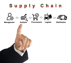 Components of Supply Chain