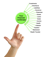 Your Financial Landscape.