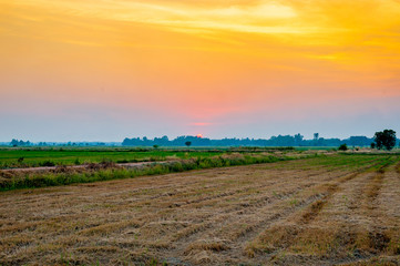  The sun sets in the fields that are harvested in the countryside.