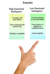 Empathy: high and low emotional intelligence