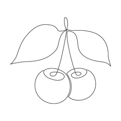 monochrome illustration with cherries. continuous line art.