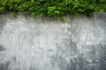 Old grungy texture, grey concrete wall