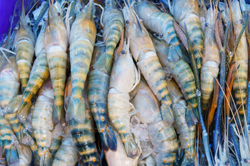 Stack of many fresh shrimp on fish market jetty. For seafood, food, kitchen, texture and background.