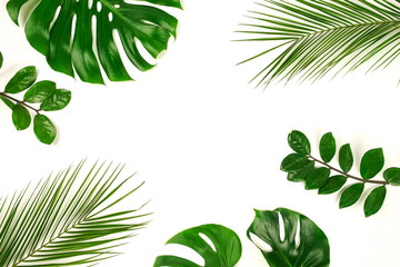 tropical green palm, monstera leaves, branches pattern frame on a white background. top view.copy space.abstract.