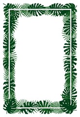Green plants, exotic leaves, banana leaf, areca palm, flora tropical frame