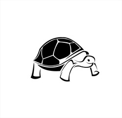 turtle logo