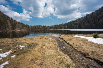 Feldsee, nature lake in southern black forest germany.