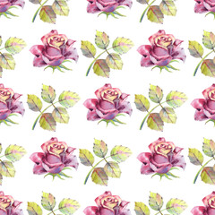 Seamless pattern. Dark rose flowers, green leaves. Flower poster, invitation. Watercolor compositions for greeting card or invitation design.