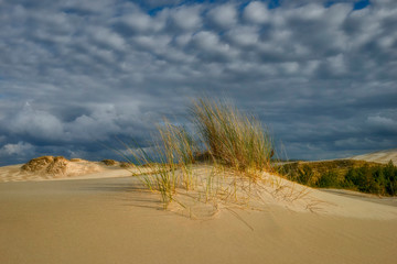 Moving sand dunes, Slowinski National Park, Leba, Poland