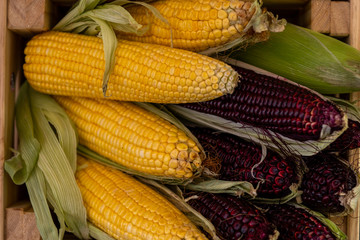   _DSF2547-Edit-Edit.JPG 1354800635  Image type  Photo Illustration Usage  Commercial Editorial