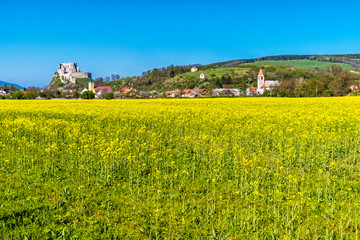 Beckov castle with oilseed rape yellow field, Slovakia