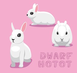 Rabbit Dwarf Hotot Cartoon Vector Illustration