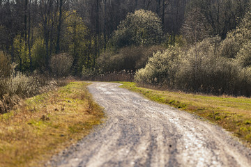 Fototapeta na wymiar Rural road in spring.