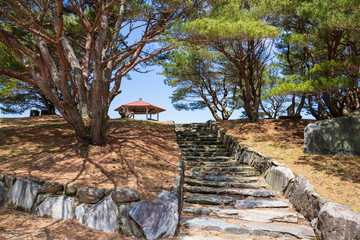 Stairs of stone to the viewing ,Shikoku,Japan