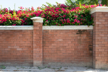 Fototapeta na wymiar Background of brick wall texture.