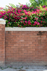 Fototapeta na wymiar Background of brick wall texture.