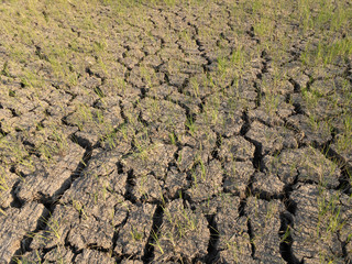 texture of dry soil