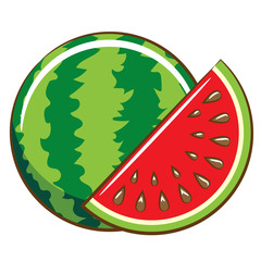 Watermelon vector 