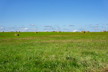 Hay field with large round bales. Environmentally friendly production.