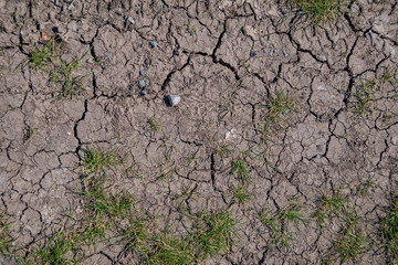 Dried out earth texture with flaws