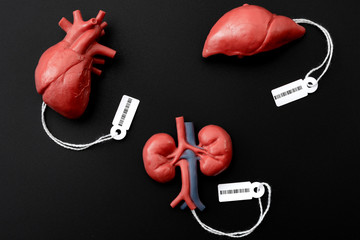 Modern day slavery, illegal trade of human organs on the black market and forced organ harvesting...