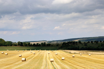 Summer rural landscape with harvesting field, hayrolls, blue sky, trees at the horizon. Sunny morning. 