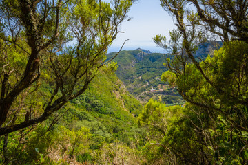 Fantastic view of the coast in the Anaga peninsula. Tenerife. Canary Islands. Spain
