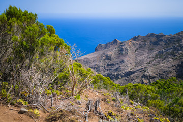 Fototapeta na wymiar Fantastic view of the coast in the Anaga peninsula. Tenerife. Canary Islands. Spain