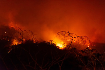 Forest fire disater problem.Fire burns trees in the mountain at night.