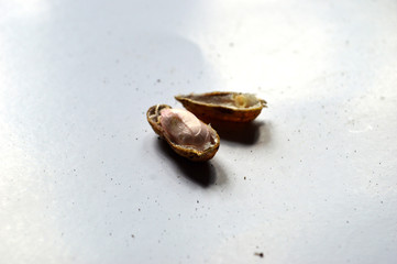 photo of peanut seeds and skin