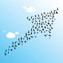 Growth And Vision Illustration, Birds and Clouds.