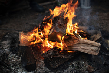 camping. bonfire on the beach.