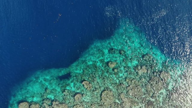 Aerial: flying over tropical Hatta island coral reef Banda Islands Maluku Indonesia turquoise water travel destination diving snorkeling. Native cinelike D-log color profile